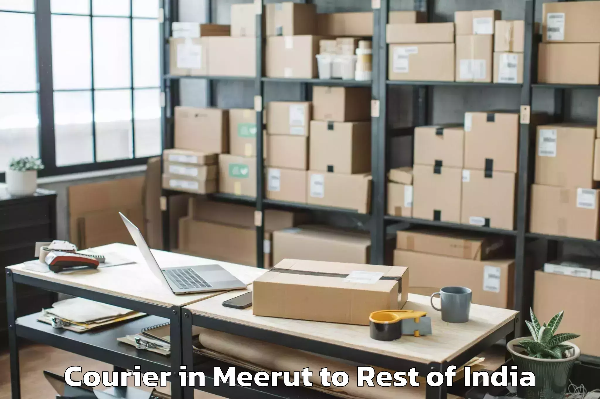 Easy Meerut to Migging Courier Booking